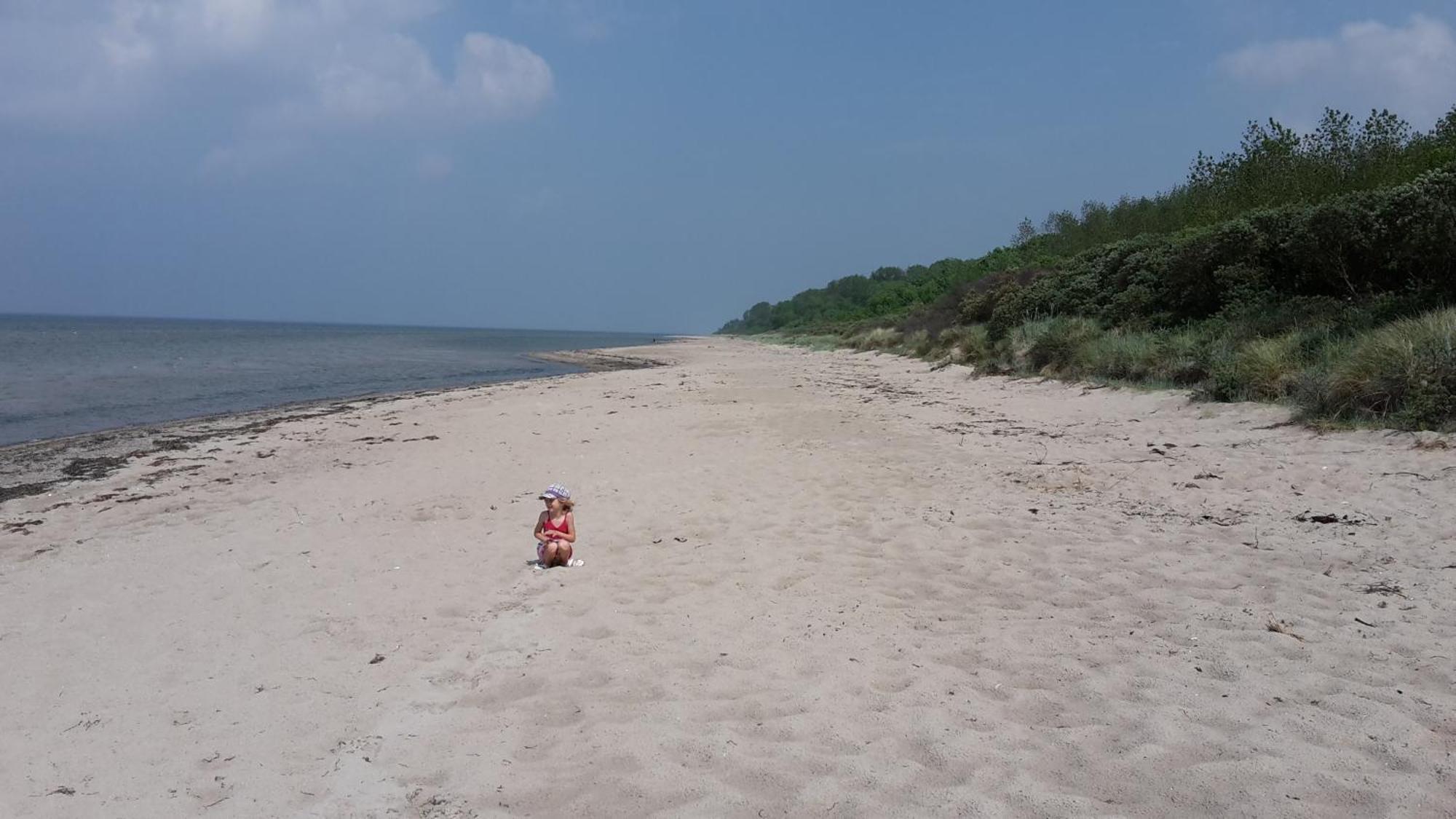 Haus Zum Strand Muschel Dassow Esterno foto